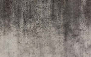 Caption: Intricate Pattern Of Stucco Texture Wallpaper