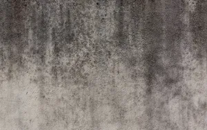 Caption: Intricate Pattern Of Stucco Texture Wallpaper