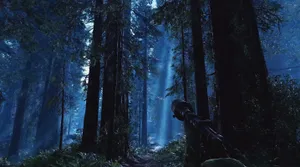 Caption: Lush Forest Landscape On The Planet Endor Wallpaper