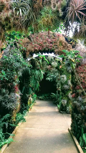 Caption: Lush Green Pathway At Botanical Garden Wallpaper