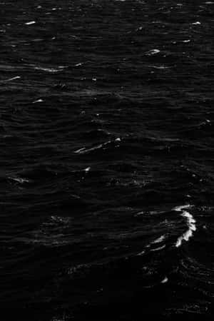 Caption: Majestic Black And White Ocean Wallpaper