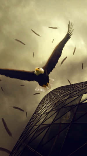 Caption: Majestic Eagle Soaring High In The Sky Wallpaper