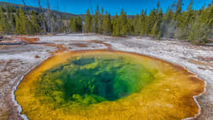 Caption: Majestic Eruption Of Yellowstone Geysers Wallpaper