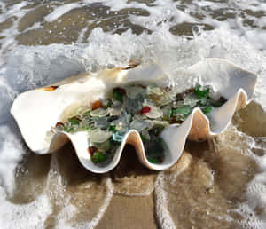 Caption: Majestic Giant Clam In The Coral Reef Wallpaper