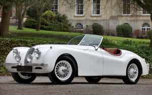 Caption: Majestic Jaguar Xk120 In Monochrome Wallpaper