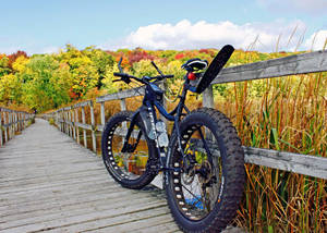 Caption: Majestic Norco Bigfoot Mountain Bike In Wilderness Wallpaper