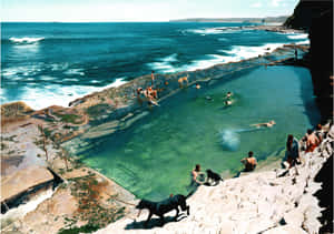 Caption: Majestic Ocean Views From Cliff Tops In Newcastle, Australia Wallpaper