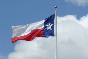 Caption: Majestic Texas Flag Under A Cloudy Sky Wallpaper