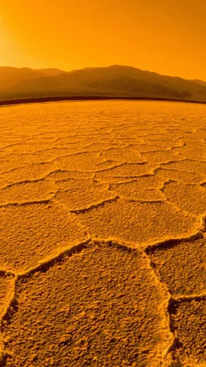 Caption: Mesmerizing Yellow Sky During Sunset Wallpaper