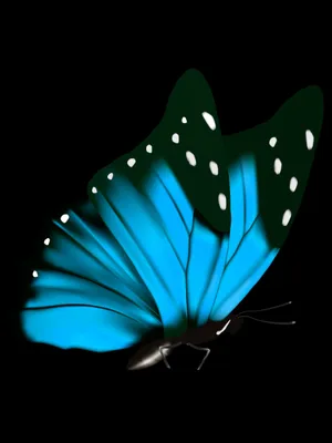 Caption: Mysterious Dark Butterfly On Abstract Background Wallpaper