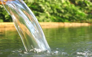 Caption: Natural Spring Water Flowing In The Forest Wallpaper