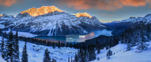 Caption: Pristine Beauty Of Peyto Lake Wallpaper