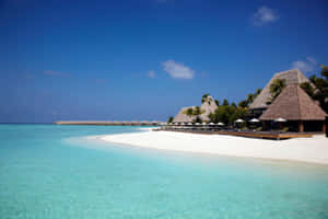 Caption: Pristine Maldives Beach Paradise Wallpaper