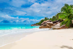 Caption: Pristine Seychelles Beach On A Sunny Day Wallpaper