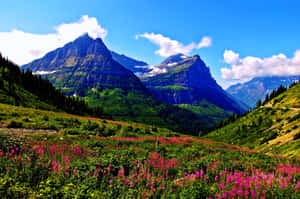 Caption: Pristine Valleys Of Glacier National Park Wallpaper