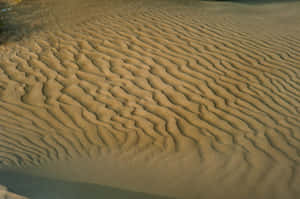 Caption: Refreshing Beach Sand Close-up Wallpaper