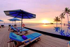 Caption: Relaxing Beach Daybed On A Beautiful Shore Wallpaper