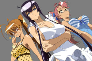 Caption: Saeko Busujima In Action - Highschool Of The Dead Anime Character Wallpaper