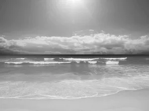 Caption: Serene Black And White Beach Scenery Wallpaper