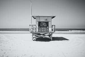 Caption: Serene Black And White Beach Scenery Wallpaper