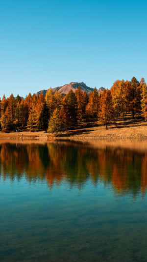 Caption: Serene Fall Lake - Discover The Beauty Of Changing Seasons At Fall Lake! Wallpaper