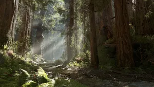Caption: Serene Forest Of Endor Wallpaper