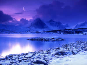 Caption: Serene Frozen Lake Surrounded By Snowy Trees Wallpaper