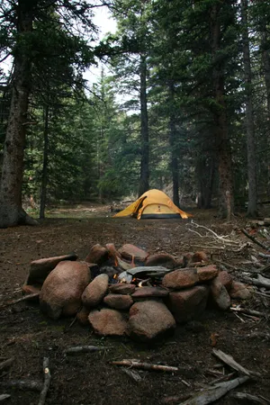 Caption: Serene Minimalist Campsite Wallpaper