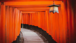 Caption: Serene Shinto Shrine Surrounded By Nature Wallpaper