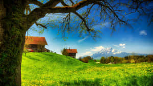 Caption: Serene Spring Scenery Wallpaper