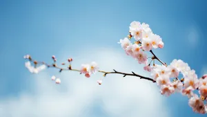 Caption: Serenity Of Spring Sky Wallpaper