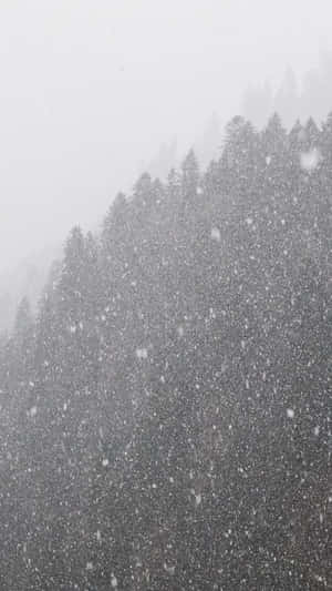 Caption: Snowstorm Covering The Landscape Wallpaper