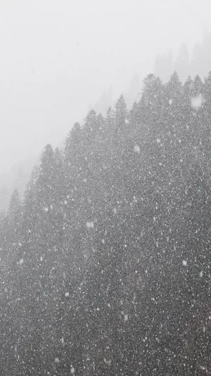 Caption: Snowstorm Covering The Landscape Wallpaper