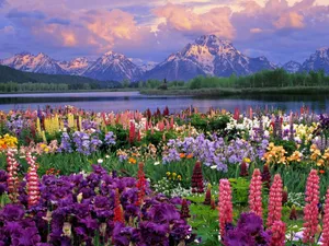 Caption: Spring Outdoors In Full Bloom Wallpaper