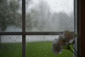 Caption: Spring Showers Refreshing Nature Wallpaper