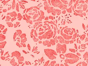 Caption: Stunning Artistic Floral Pattern Wallpaper