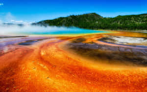 Caption: Stunning Eruption Of A Geyser In Yellowstone National Park Wallpaper