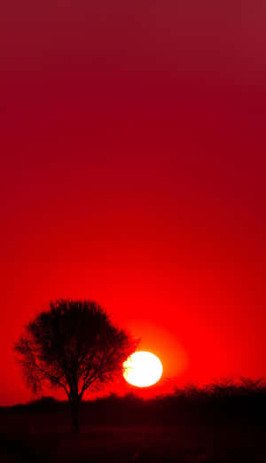 Caption: Stunning Red Sunset Wallpaper