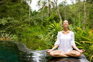 Caption: Sustainable Eco-adventure In The Rainforest Wallpaper