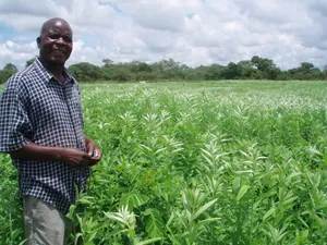 Caption: Sustainable Organic Farming At Its Finest Wallpaper