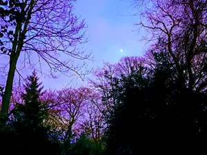 Caption: The Serenity Of The Clear Blue Sky Wallpaper