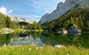 Caption: Tranquil Scenic Beauty Of Slovenia Wallpaper