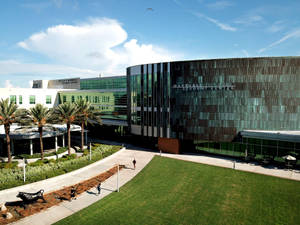 Caption: University Of South Florida's Landmark - Marshall Student Center Wallpaper