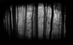 Caption: Unsettling Dark Forest Wallpaper