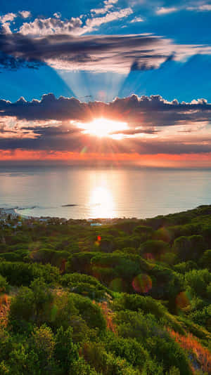 Caption: Vibrant African-inspired Iphone Background Wallpaper