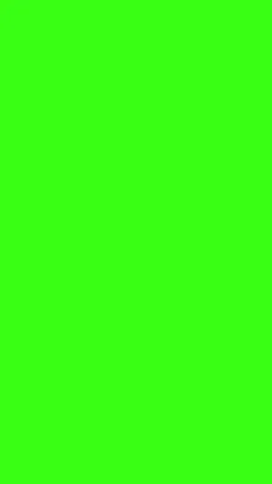 Caption: Vibrant Green Solid Color Background Wallpaper