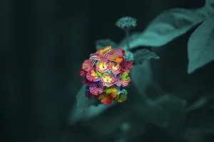 Caption: Vibrant Psychedelic Floral Explosion Wallpaper