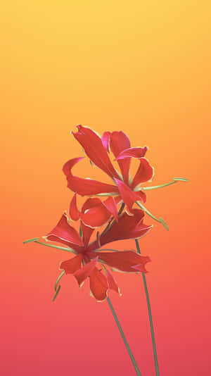 Caption: Vibrant Spectrum Of Blooming Creativity Wallpaper