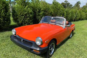 Caption: Vintage Elegance - Shining Red Mg Midget Convertible Wallpaper