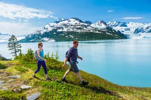 Caption: Walk Amidst Nature's Splendor Wallpaper